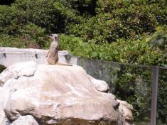 Liberec ZOO a Ještěd 2013 