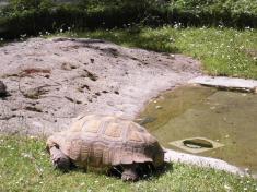 Liberec ZOO a Ještěd 2013 