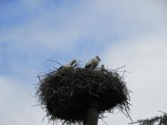 ZOO Park Chomutov