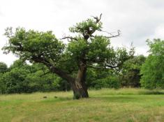 ZOO Park Chomutov